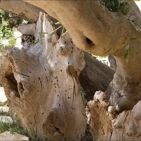 Karina בית נופש ספליט